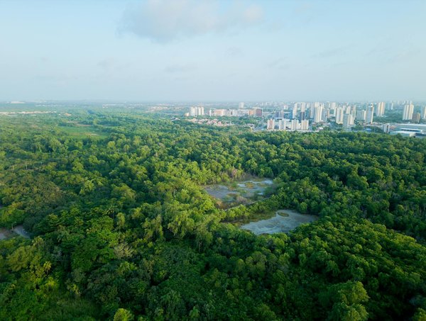 Éduquer pour un avenir durable : préparer les citoyens responsables de demain