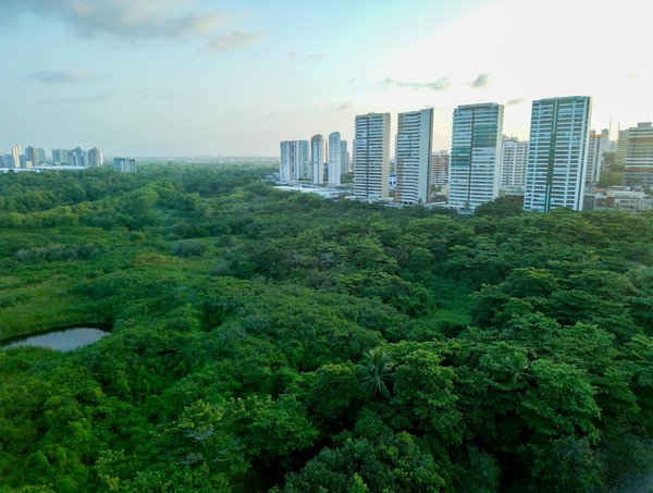 Achetez des pièces d'occasion pour motos et soyez éco-responsable !