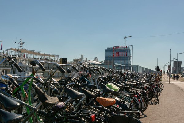 Chaîne ou courroie de distribution : comment les différencier ?